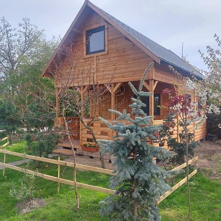 Domek Pod Sumakiem Pszczółki Dış mekan fotoğraf